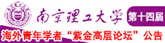 啊啊啊,啊,好爽,黄色网站南京理工大学第十四届海外青年学者紫金论坛诚邀海内外英才！